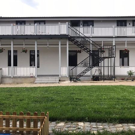 Apartament Delia Брашов Экстерьер фото